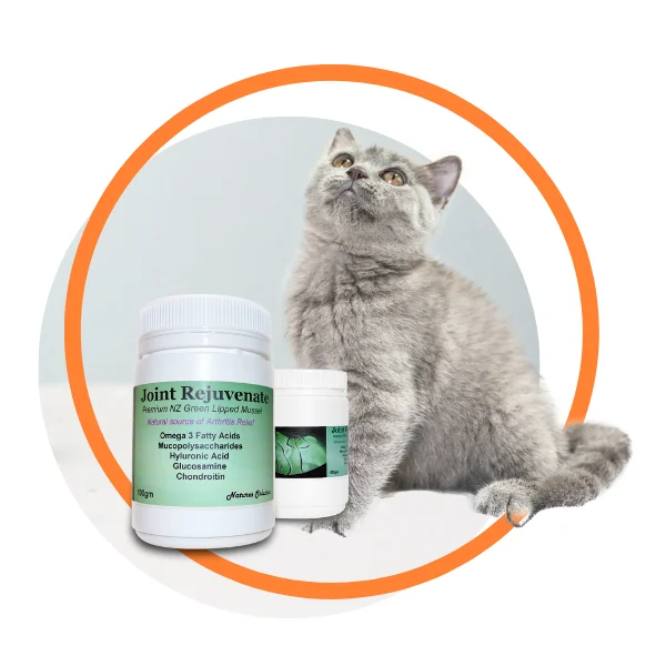 Joint Rejuvenate for Cats - Joint supplement product image