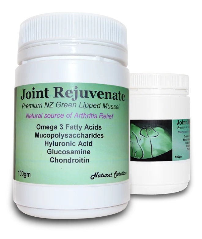 Joint Rejuvenate Green-Lipped Mussel Supplement