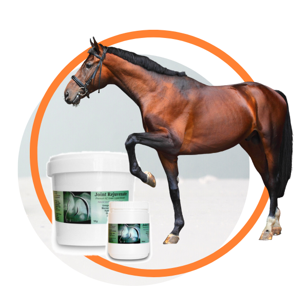 Joint Rejuvenate for Horses - Joint supplement product image